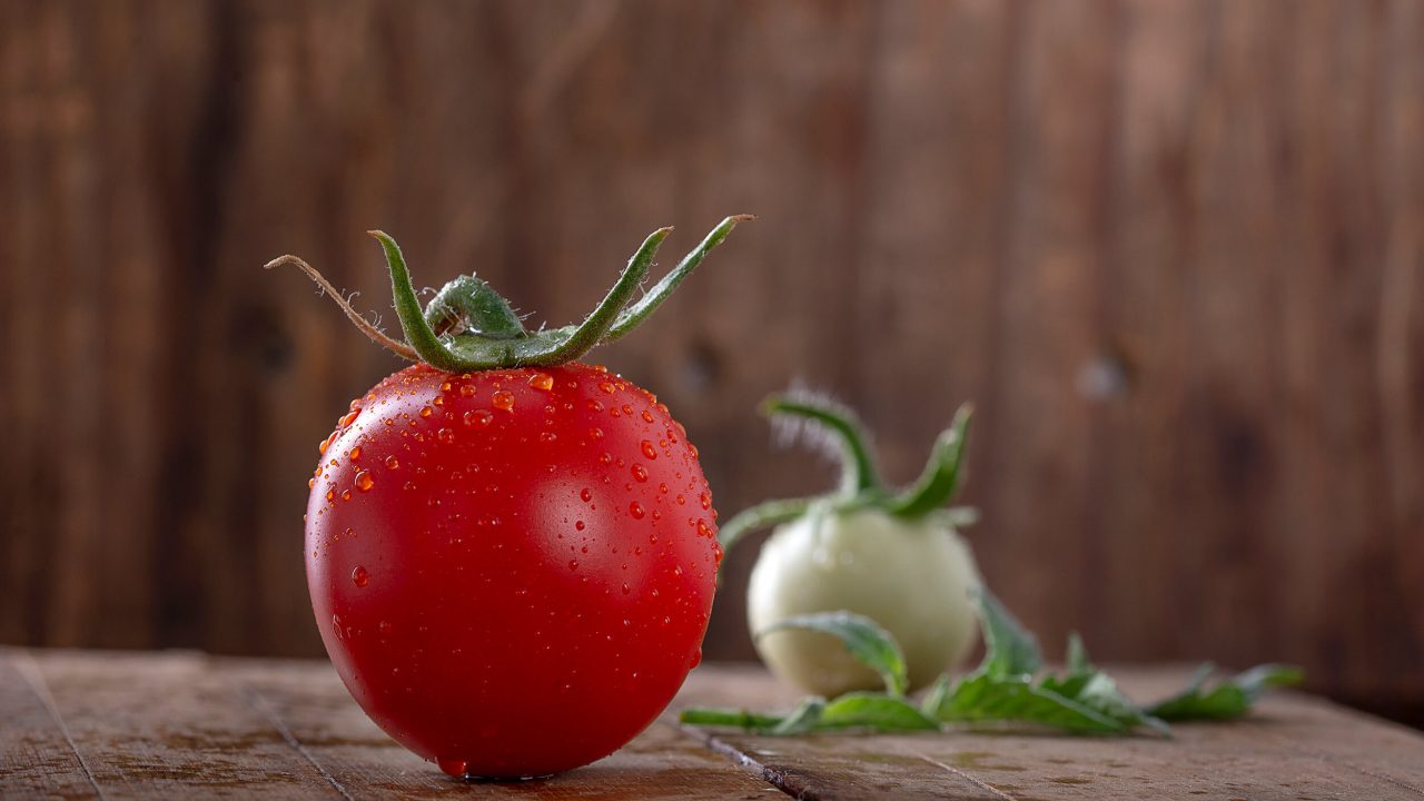 <i>Gıda</i><span>Görsel 1</span>